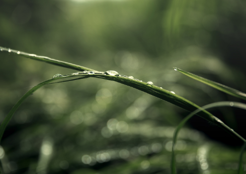 Enviro